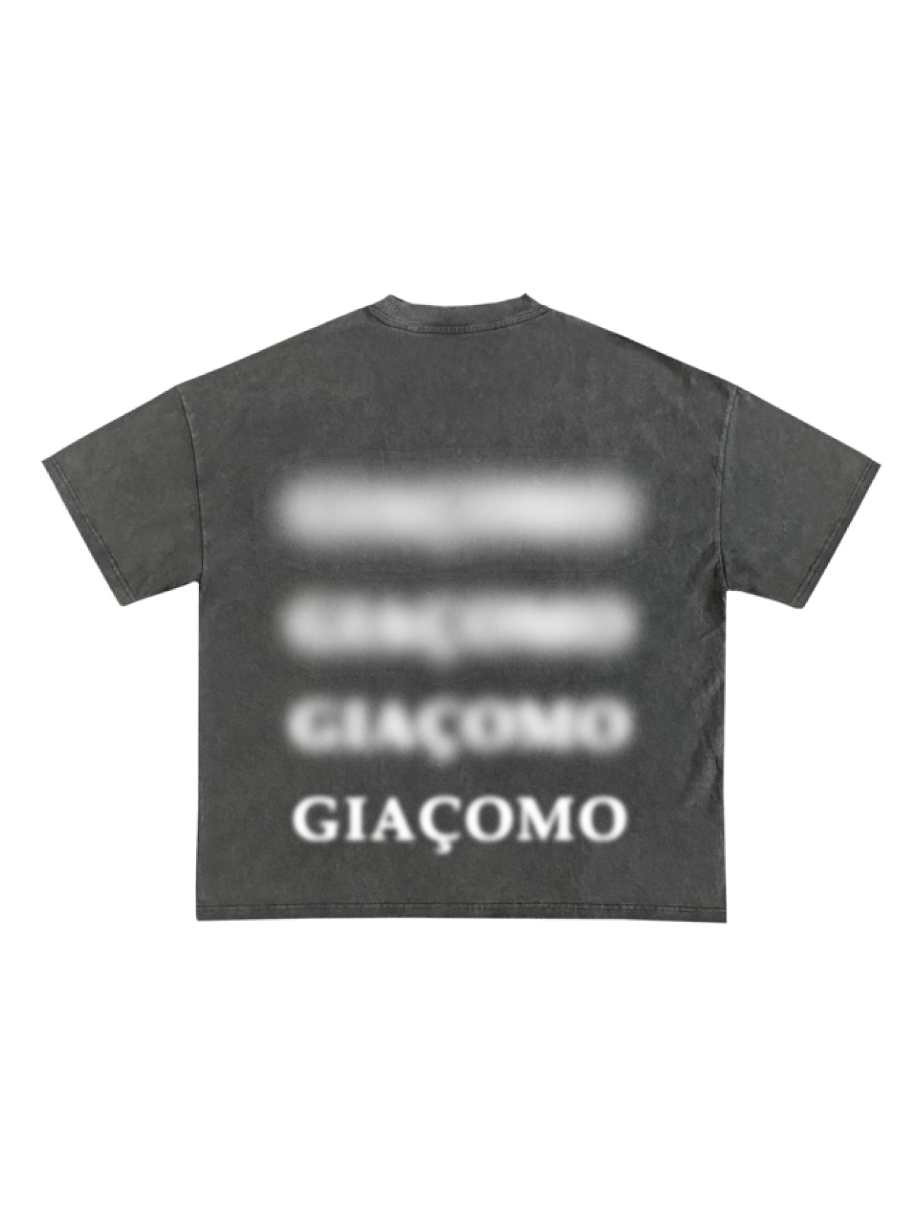'Giacomo' Floating Smoke Washed Grey T-Shirt